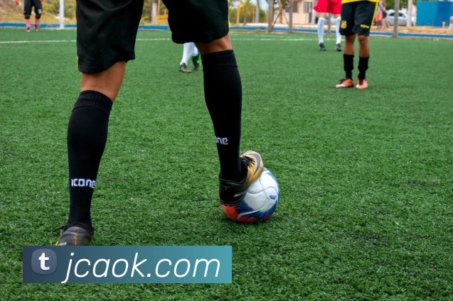 App Interface Preview